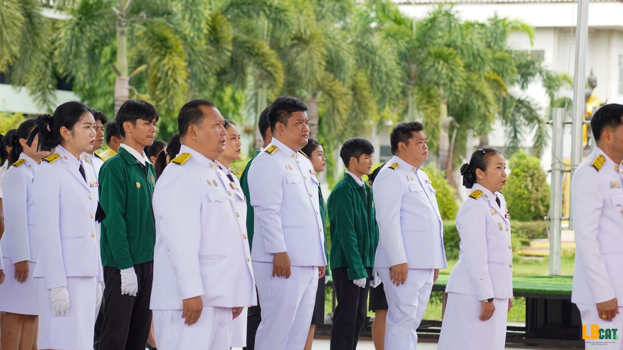 ภาพในอัลบั้มที่ 15