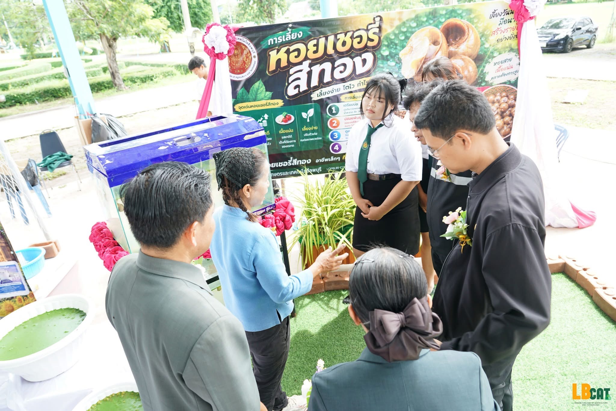 ภาพในอัลบั้มที่ 6