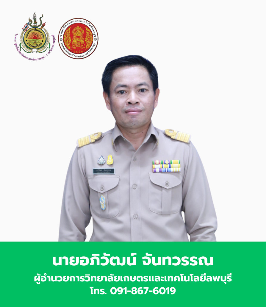 ผู้บริหารระดับสูง